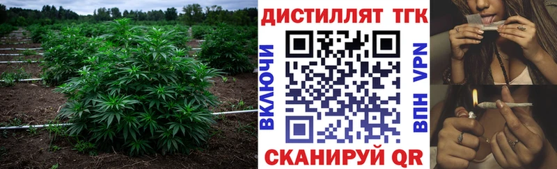 Купить закладки  Катав-Ивановск  Дистиллят ТГК гашишное масло 